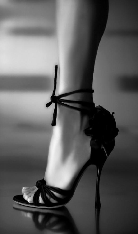 Shoe Accessories Galore 1982653 Weddbook