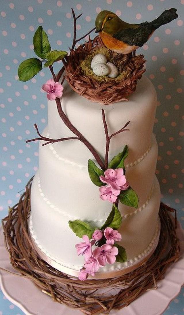Birds Nest Cake 2461486 Weddbook